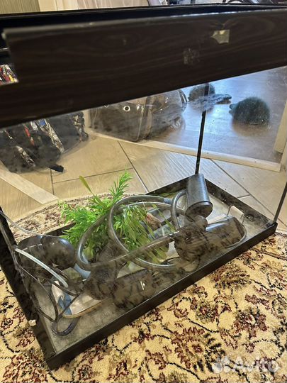 Аквариум 80 л с фильтром