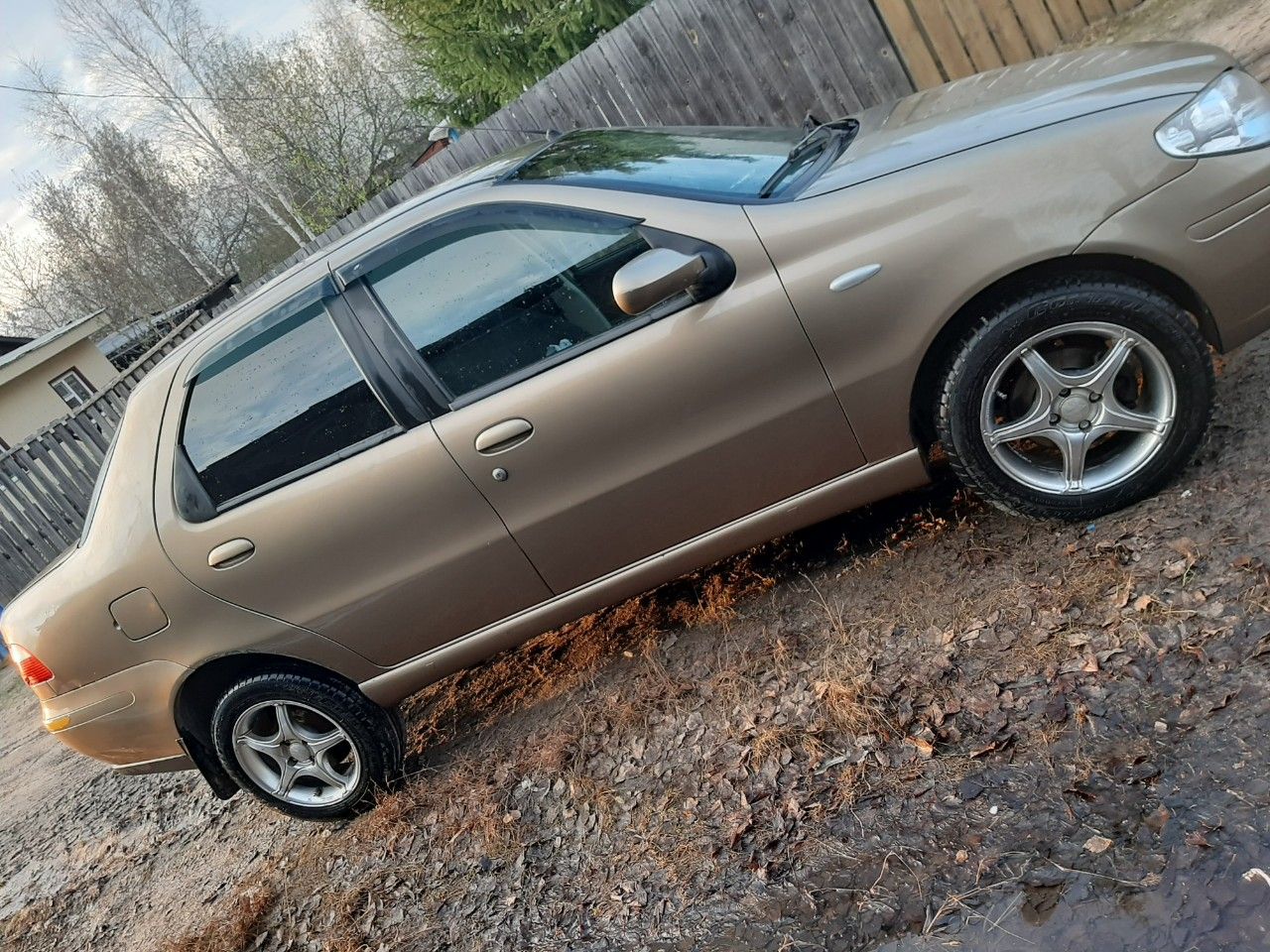 FIAT Albea: фото владельца
