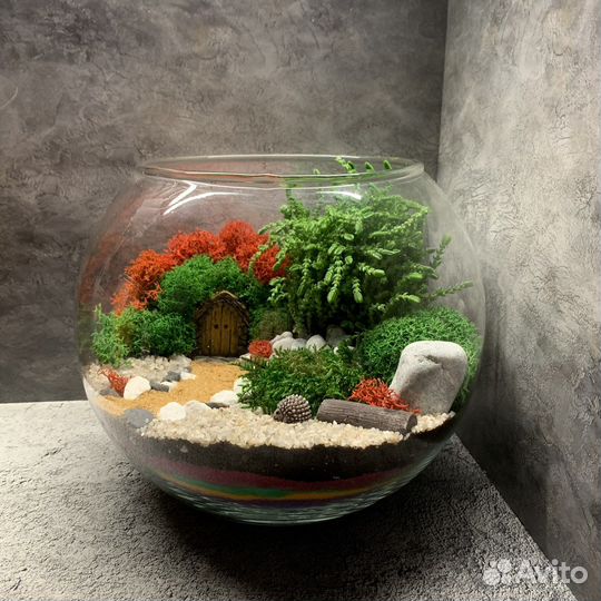 Флорариумы и моссариумы