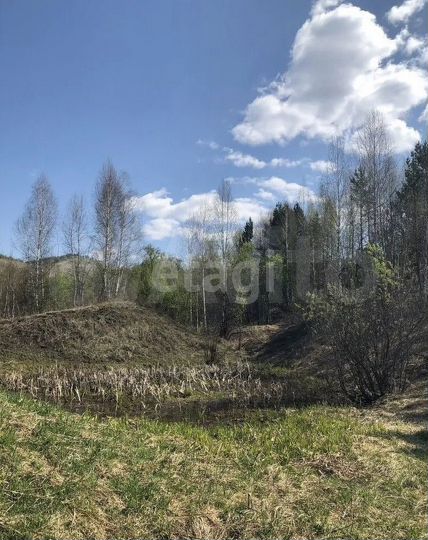 Участок 24 га (СНТ, ДНП)