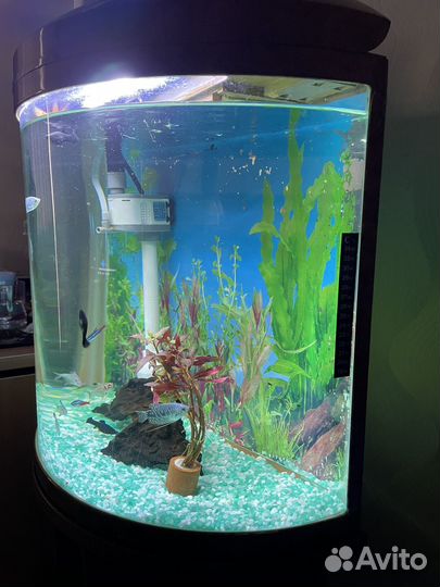 Аквариум с тумбой