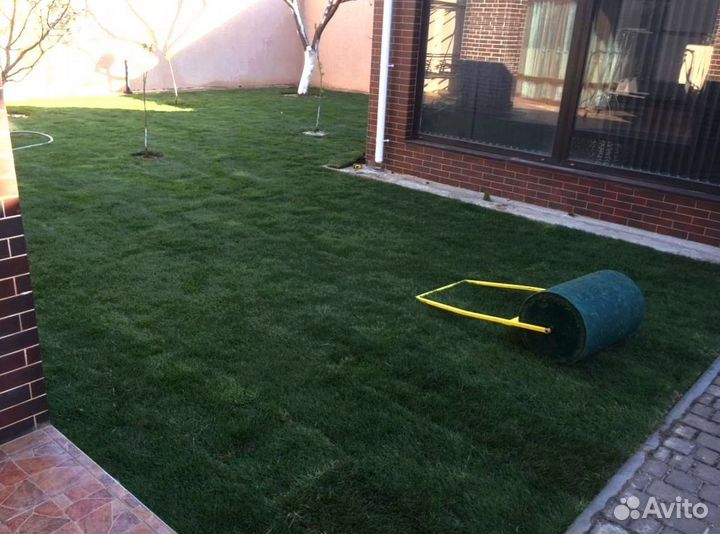 Рулонный газон
