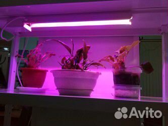 Стеллаж для растений с светодиодными Фитолампами