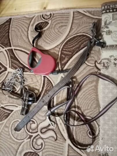 Поводок рулетка для собак, ошейник