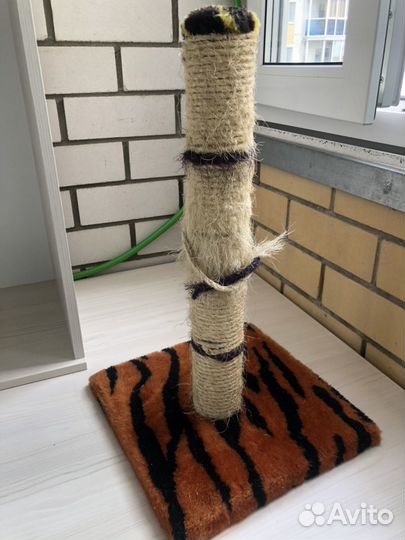 Когтеточка