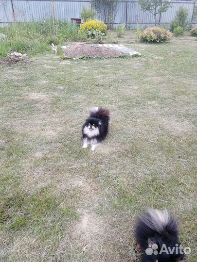 Красивый мальчик