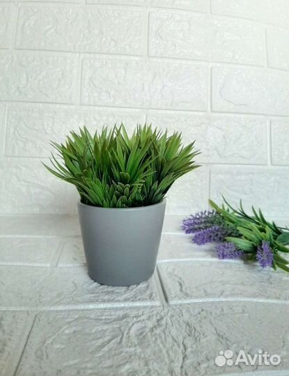 Цветы для декора и интерьера