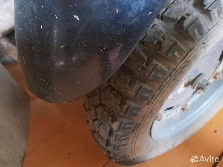 Продам муравей