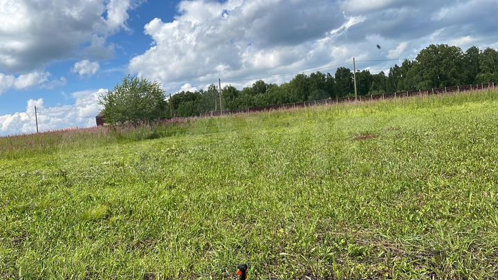 Участок 10 сот. (ИЖС)