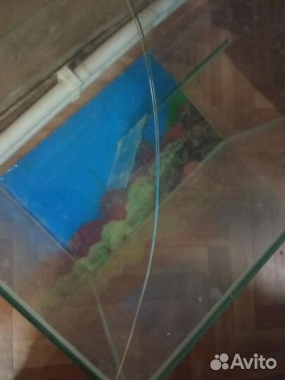 Аквариум для черепах
