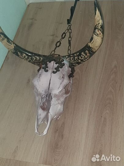 Голова быка на стену