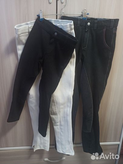 Конные бриджи