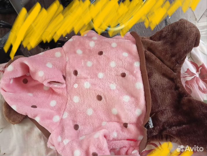 Одежда для собак и кошек