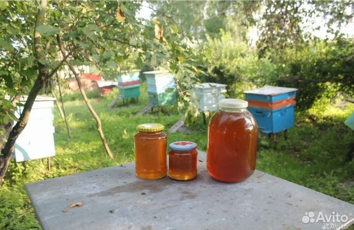 Мед цветочный,липовый