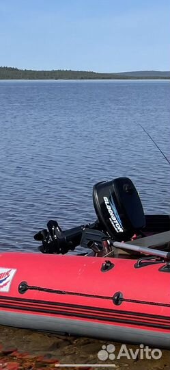 Лодочный мотор Gladiator