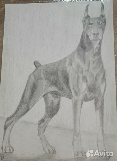 Картины карандашом А4