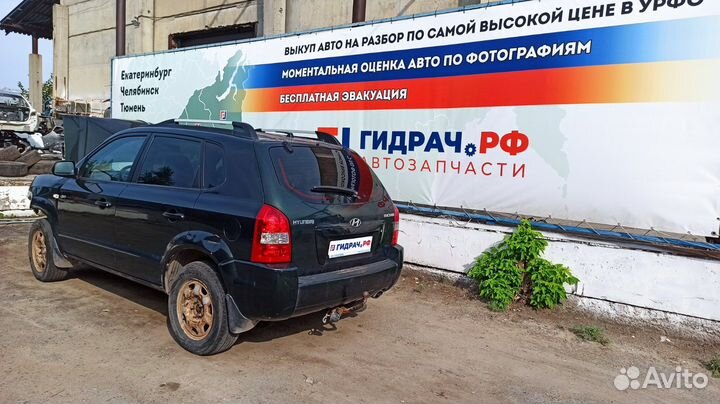 Стекло двери передней правой Hyundai Tucson (JM) 8