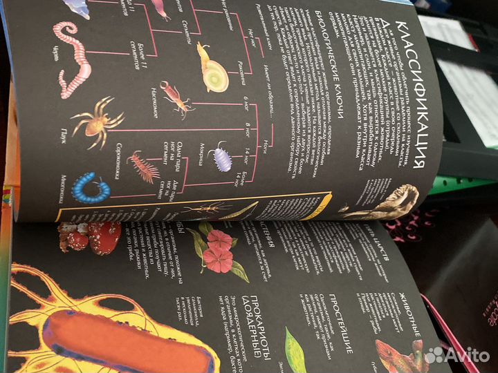 Книги для детей