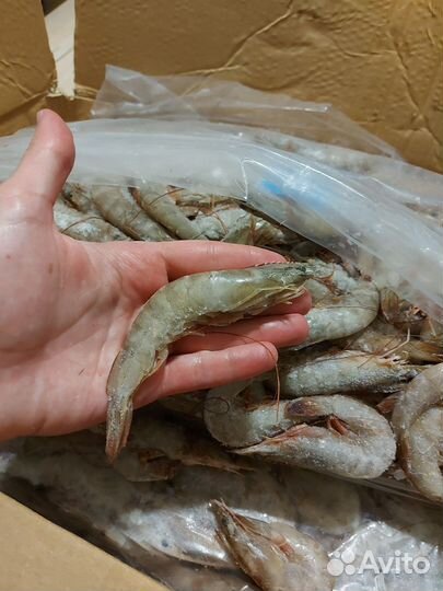 Креветки ваннамей