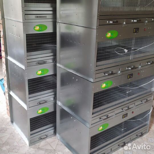 Цыфровой брудер 3 поддона