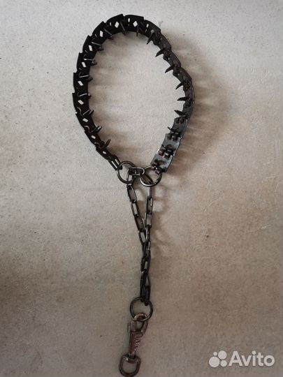 Строгий ошейник для собак