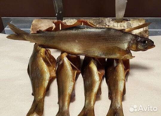 Хариус холодного/горячего копчения