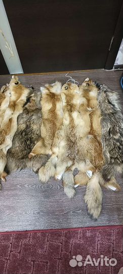 Лисья шкура