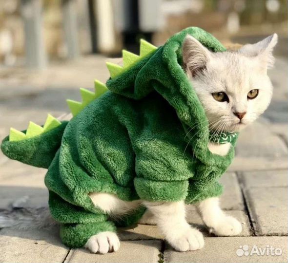 Костюм динозавра для животных