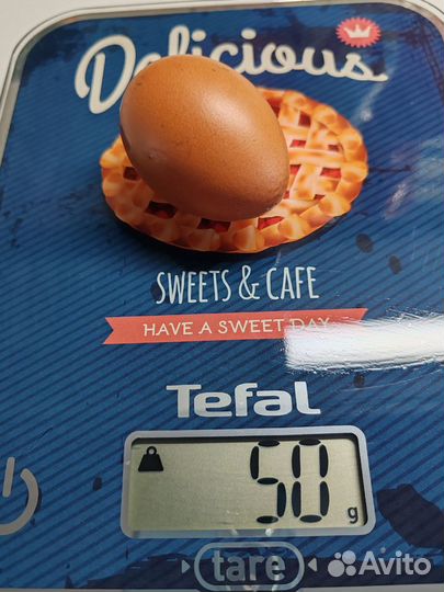 Яйцо куриное столовое