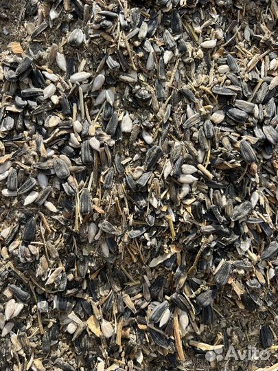 Отходы Подсолнечника спк