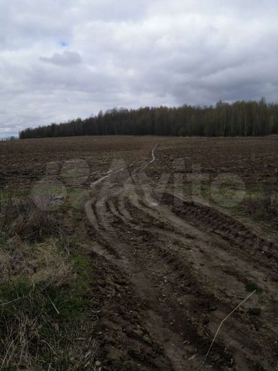Участок 1,5 га (СНТ, ДНП)