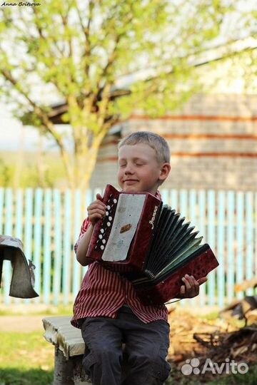 Баянист на праздник