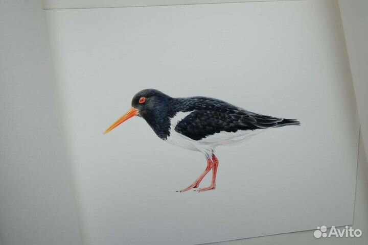 Картина акварелью 