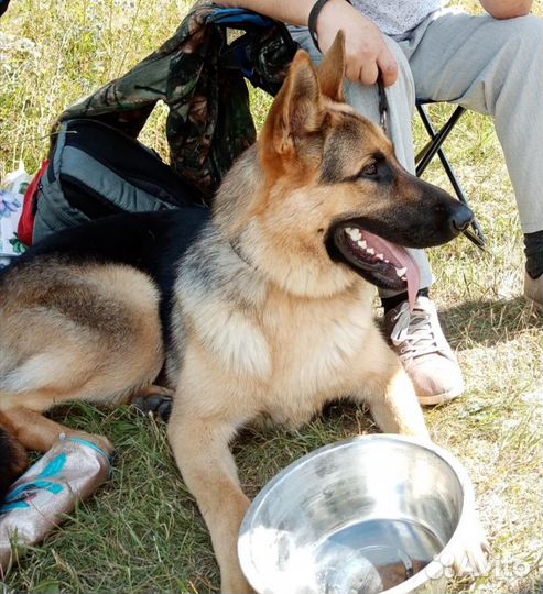 Кабель вязка