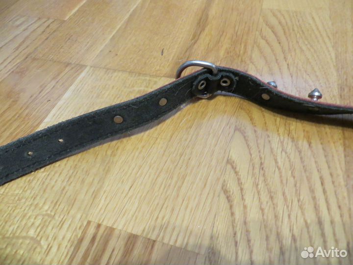 Ошейник для маленькой собачки