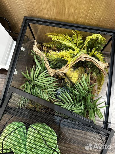 Террариум для змеи Хабитат