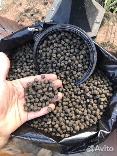 Пеллетс карповый