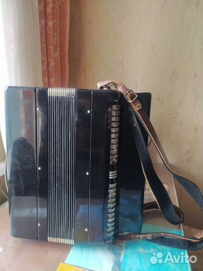 Баян тульский 