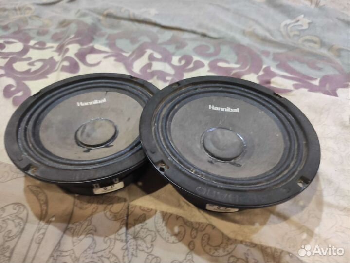 Динамики на весту или гранту