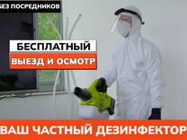 Уничтожение клопов тараканов дезинфекция плесени