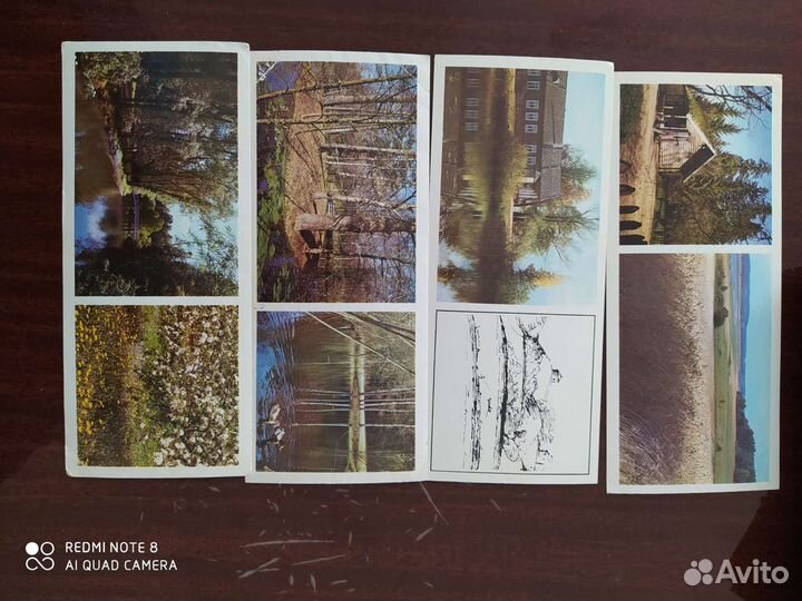 Открытки. В стране, где сороть голубая