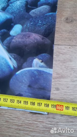 Фон для аквариума(16060см)