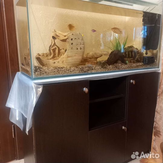 Аквариумные рыбки