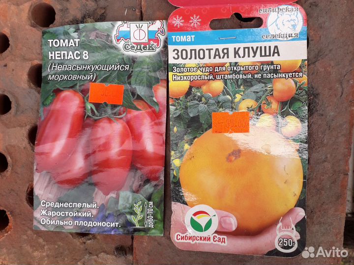 Рассада помидоров