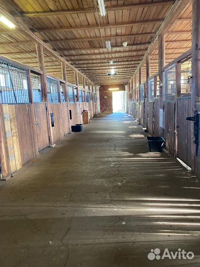 Постой для лошадей