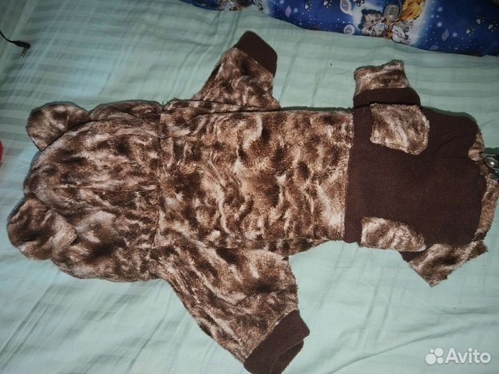 Костюм для маленькой собаки