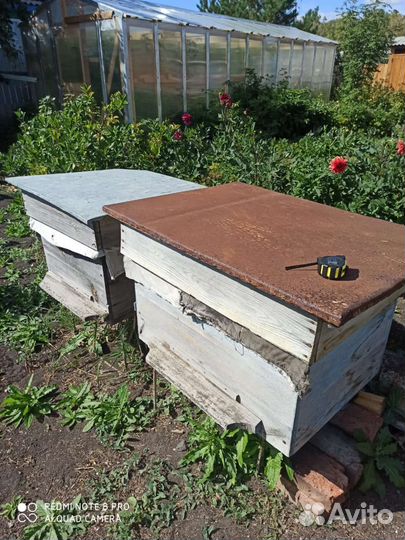 Ульи для пчел, рамки