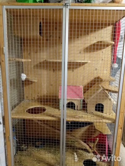 Семья шиншилл с большой клеткой