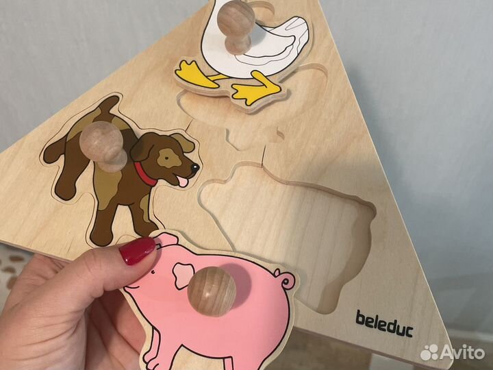 Сортер beleduc новый