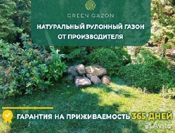 Рулонный газон под ключ купить в Краснодаре | Товары для дома и дачи ...